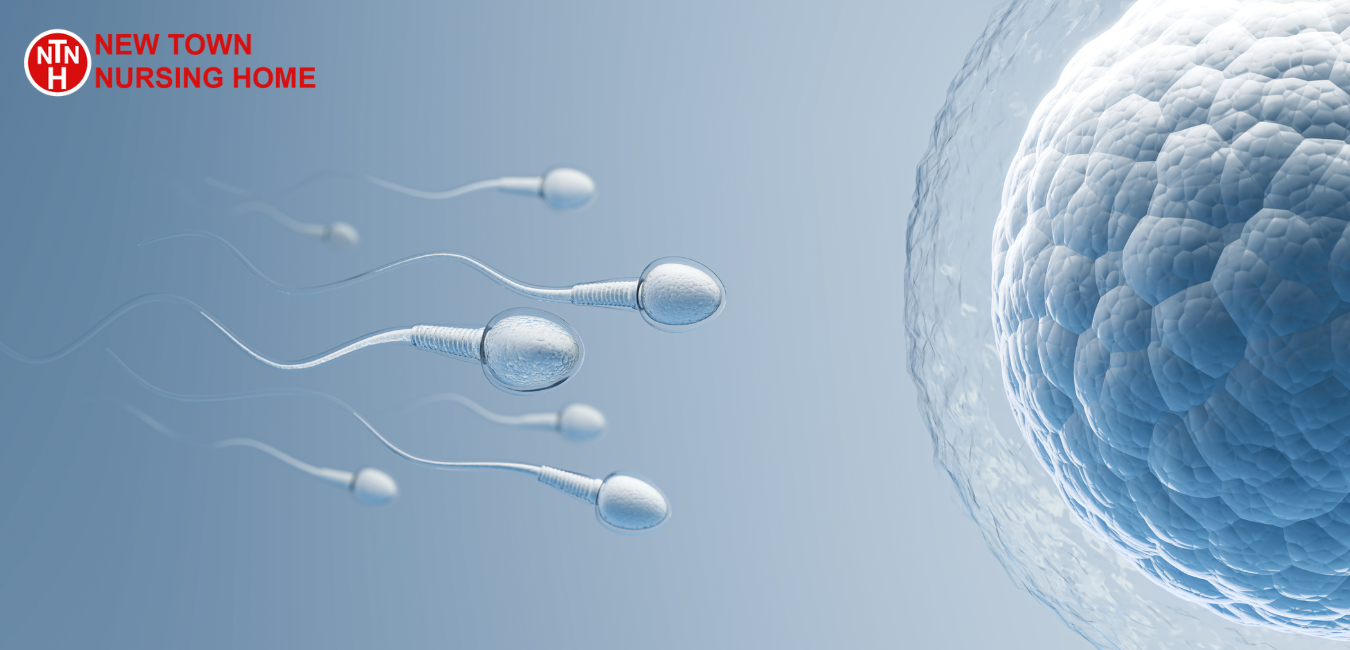 Fibroids and Fertility: What Every Woman Should Know